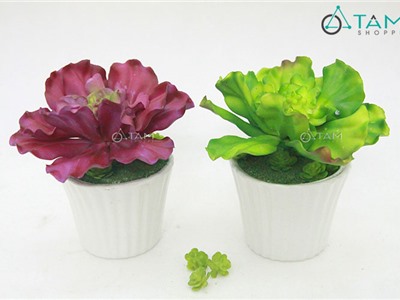 Chậu bắp cải giả để bàn số 87